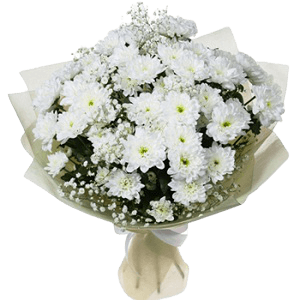 Papatyam Kır Çiçeğim