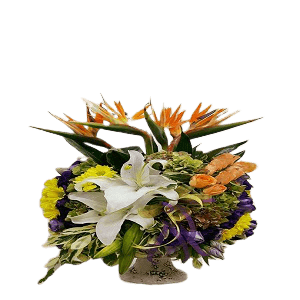 Vip Çiçek Aranjman ( Starliçe )